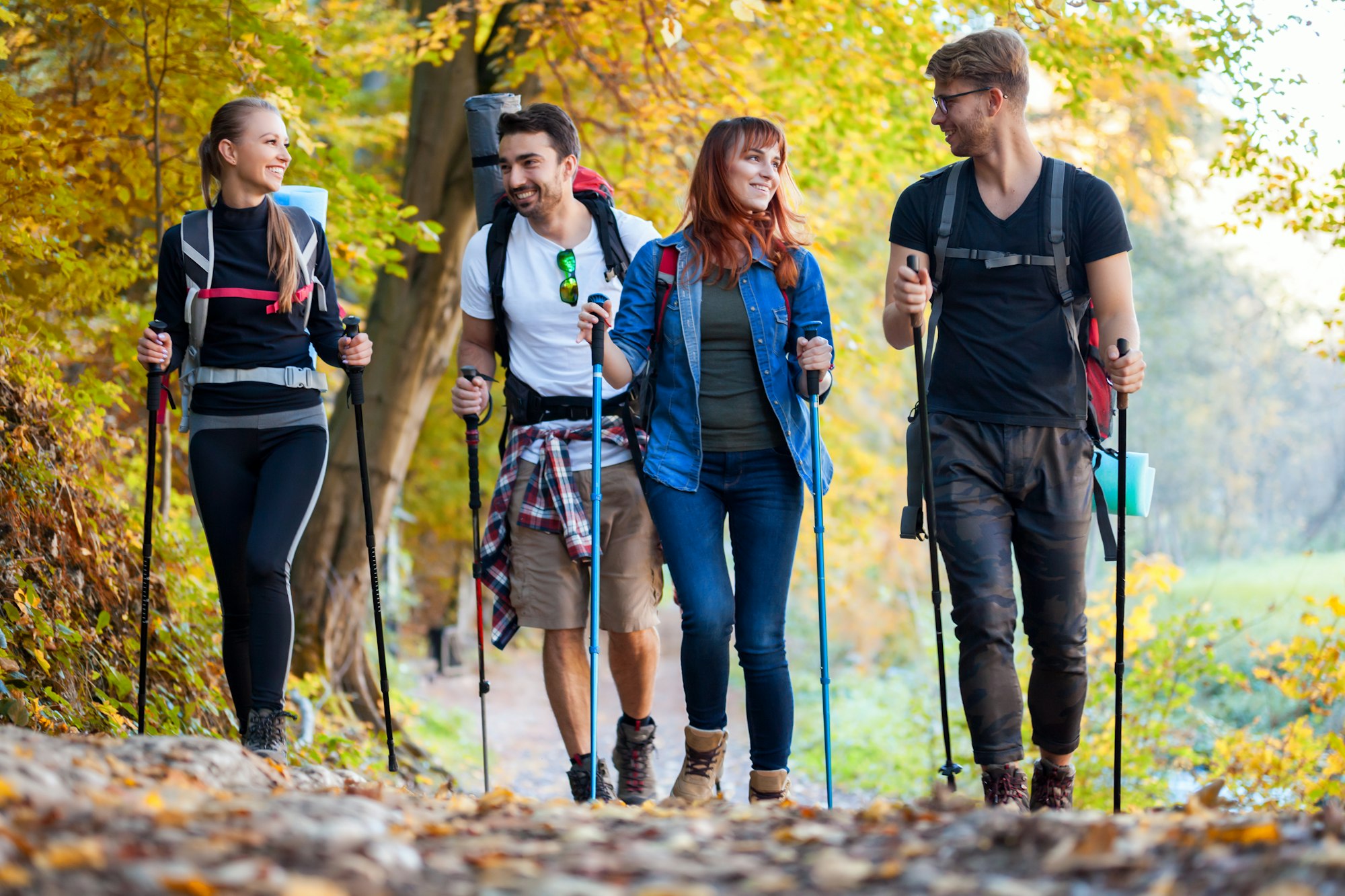 riends with backpacks trekking in nature, walking through the woods